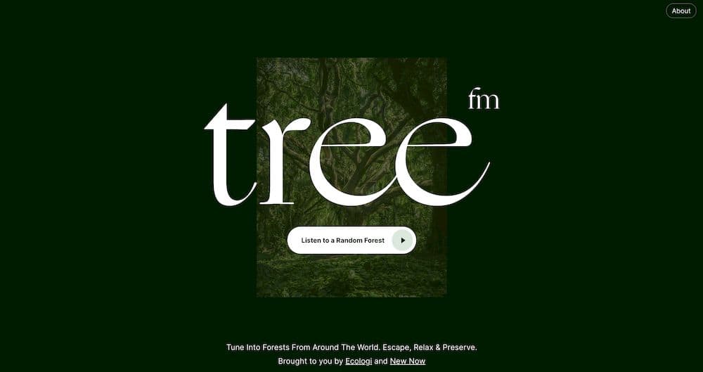 7 個免費線上白噪音網站推薦 - Tree.fm
