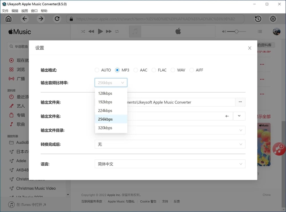 UkeySoft Apple Music Converter - 設定輸出檔案格式